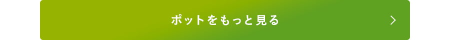 ポット全てを見る