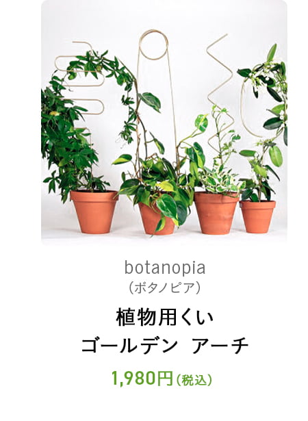 植物用くい