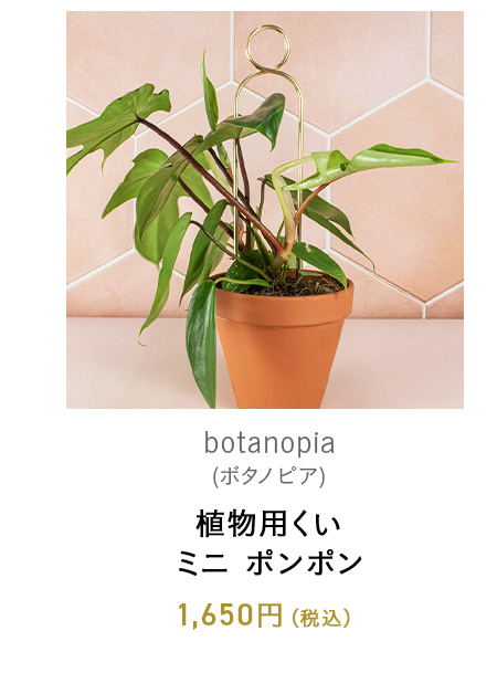 植物用くい ミニ ポンポン