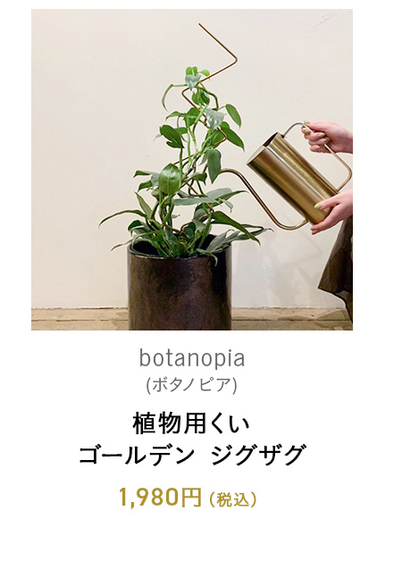 植物用くい ゴールデン ジグザグ