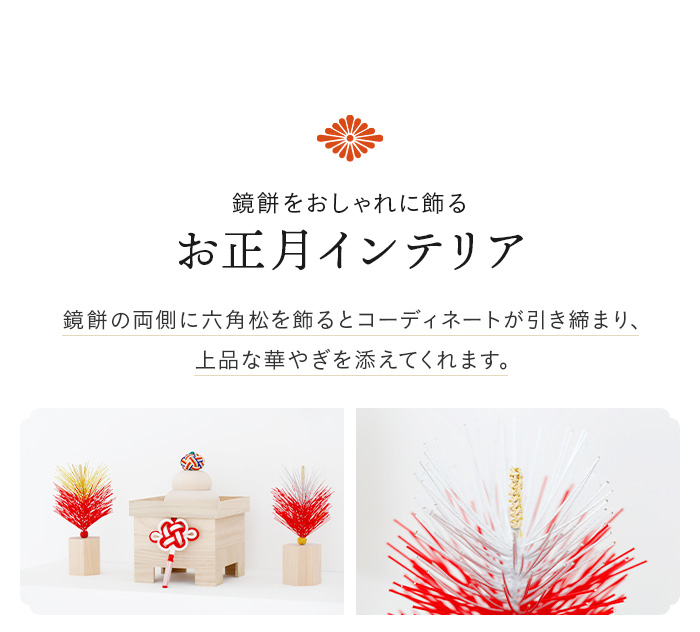 スギカウ / お正月特集(2022)(SP)