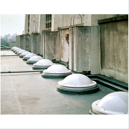 スギカウ / ポリカドーム 6M