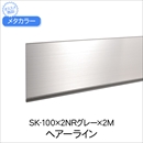 メタカラー SK-100×2NRグレー×2M HL