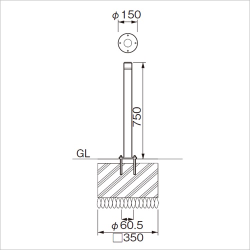 スギカウ / エキスポール EX-513-60