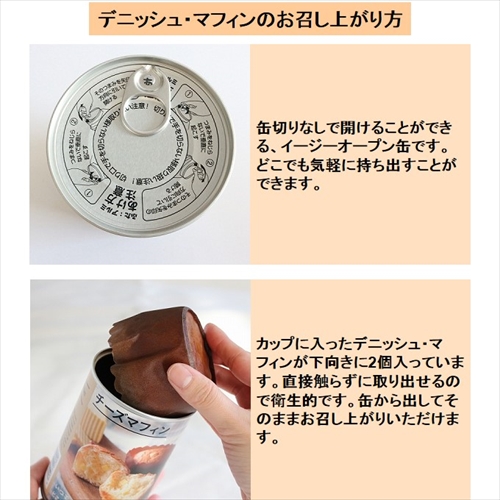 スギカウ イザメシ チョコデニッシュ 2個入り スギカウ イザメシ チョコデニッシュ 2個入り