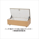 置き床式畳下収納システム ハッチ1帖タイプ STB-120H