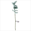 Aveva Design(アベバデザイン) フェルトフラワー グリーンユーカリ