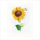 Quilling Card グリーティングカード [Sunflower] GE523