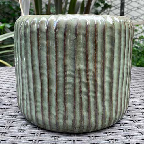 スギカウ / SERAX(セラックス) リブスワンプポット Φ15.5×H14.5cm グリーン