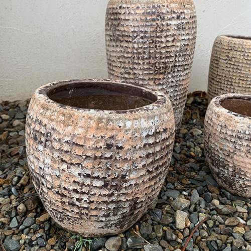 SERAX(セラックス) サボテンベース SERAX(セラックス) サボテンベース D22.5 : upstairs outdoor