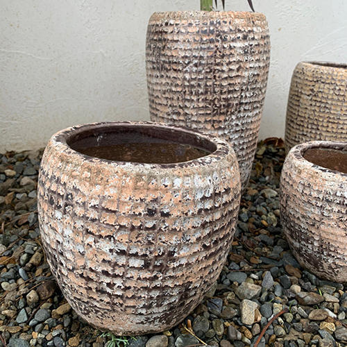 スギカウ / SERAX(セラックス) レプタイルポット H22.5