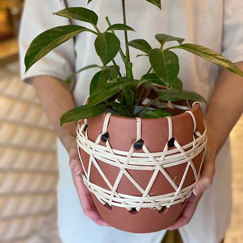 まーる　花瓶　鉢　プランター　ファットラバ　ブルーミングヴィル　ポット スギカウ / Bloomingville(ブルーミングヴィル) バブルフラワー