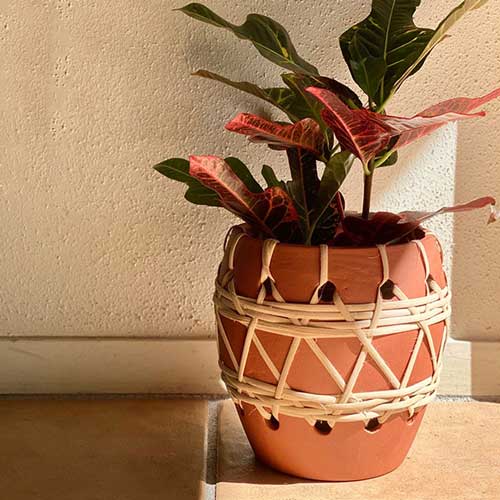 スギカウ / Bloomingville(ブルーミングヴィル) テラコッタ