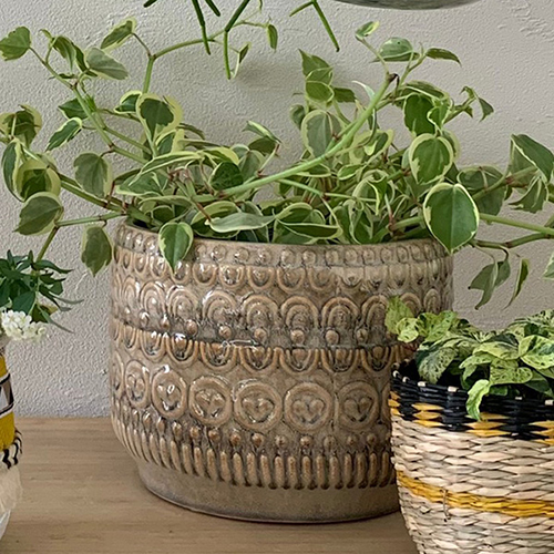 スギカウ / Bloomingville(ブルーミングヴィル) グレイズフラワーポット