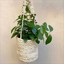 NORDAL(ノルダル) ロープハンギングポット ナチュラル