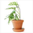 botanopia(ボタノピア) 植物用くい ミニ ポンポン ブラック