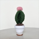 C Yarn Hut(シーヤーンハット) クロシェカクタス ルビーボール S