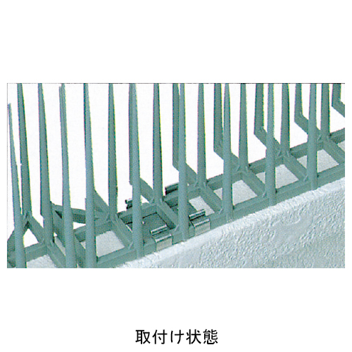 03鳩様確認用 NL19-7011349, BC.jpg