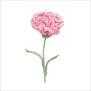 The Way to You(ザウェイトゥユー) カーネーションオレンジピンク