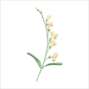 The Way to You(ザウェイトゥユー) フリージアライトイエロー