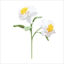 The Way to You(ザウェイトゥユー) ケープジャスミン