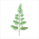 The Way to You(ザウェイトゥユー) シダライトグリーン